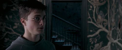 Click to view full size image
==============
OdF-Potterish_5384.jpg OdF-Potterish_5384.jpg