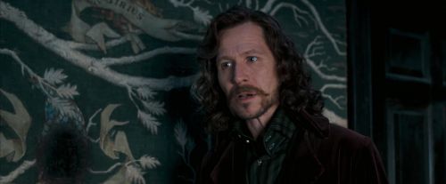 Click to view full size image
==============
OdF-Potterish_5389.jpg OdF-Potterish_5389.jpg