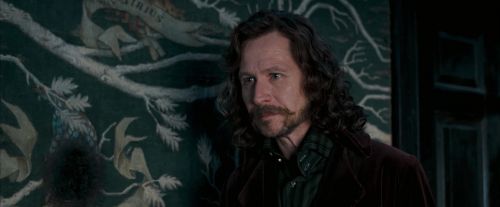 Click to view full size image
==============
OdF-Potterish_5391.jpg OdF-Potterish_5391.jpg