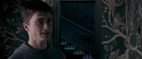 OdF-Potterish_5403.jpg