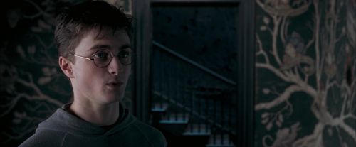OdF-Potterish_5405.jpg