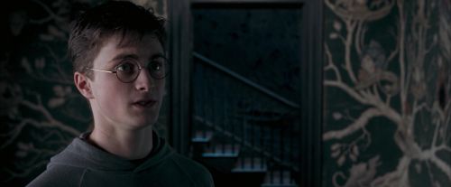 OdF-Potterish_5406.jpg