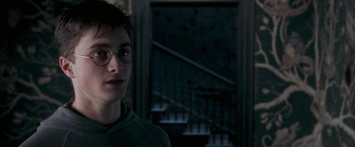 OdF-Potterish_5407.jpg