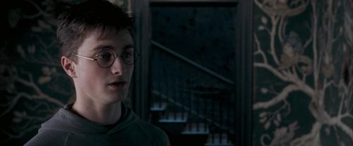 Click to view full size image
==============
OdF-Potterish_5408.jpg OdF-Potterish_5408.jpg