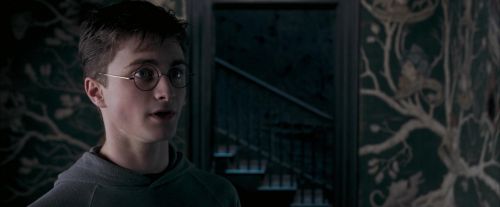 Click to view full size image
==============
OdF-Potterish_5416.jpg OdF-Potterish_5416.jpg