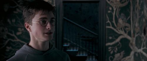 Click to view full size image
==============
OdF-Potterish_5418.jpg OdF-Potterish_5418.jpg