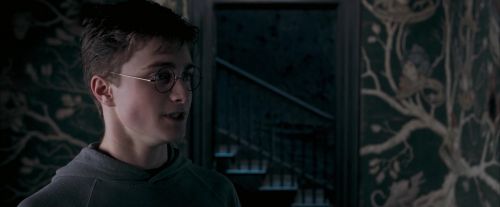 Click to view full size image
==============
OdF-Potterish_5419.jpg OdF-Potterish_5419.jpg