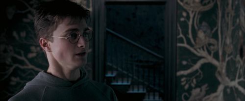 Click to view full size image
==============
OdF-Potterish_5421.jpg OdF-Potterish_5421.jpg
