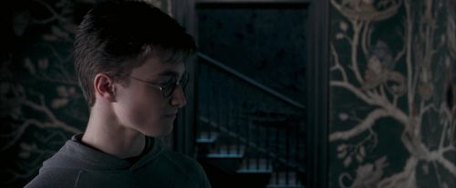 Click to view full size image
==============
OdF-Potterish_5423.jpg OdF-Potterish_5423.jpg