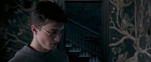 Click to view full size image
==============
OdF-Potterish_5424.jpg OdF-Potterish_5424.jpg