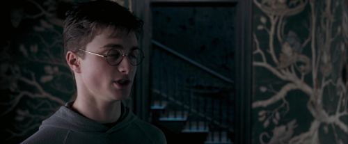 Click to view full size image
==============
OdF-Potterish_5427.jpg OdF-Potterish_5427.jpg