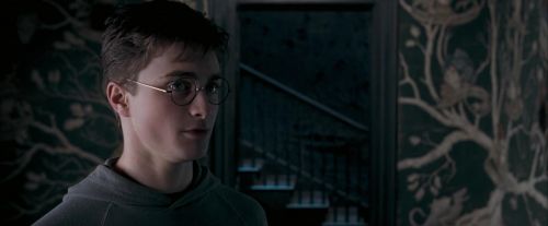 Click to view full size image
==============
OdF-Potterish_5428.jpg OdF-Potterish_5428.jpg