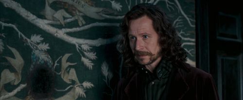 Click to view full size image
==============
OdF-Potterish_5430.jpg OdF-Potterish_5430.jpg