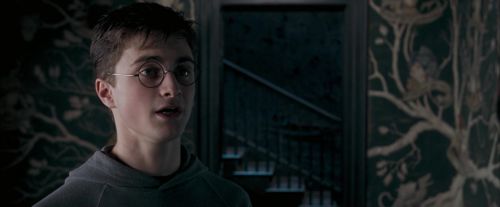 OdF-Potterish_5436.jpg