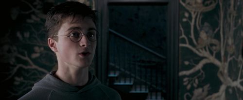 OdF-Potterish_5438.jpg