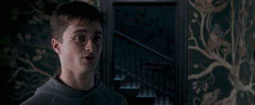 OdF-Potterish_5439.jpg