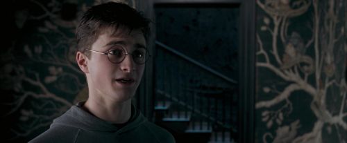 Click to view full size image
==============
OdF-Potterish_5441.jpg OdF-Potterish_5441.jpg