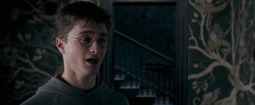 OdF-Potterish_5442.jpg