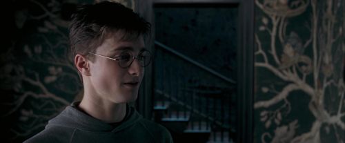 Click to view full size image
==============
OdF-Potterish_5443.jpg OdF-Potterish_5443.jpg
