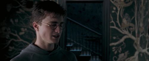 OdF-Potterish_5448.jpg