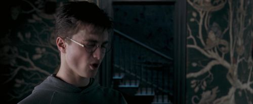OdF-Potterish_5449.jpg
