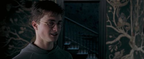 OdF-Potterish_5450.jpg
