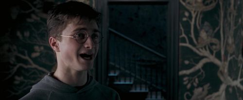 OdF-Potterish_5452.jpg