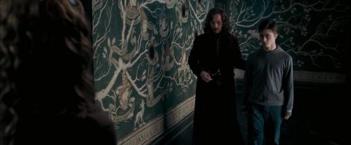 OdF-Potterish_5506.jpg