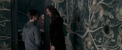 Click to view full size image
==============
OdF-Potterish_5514.jpg OdF-Potterish_5514.jpg
