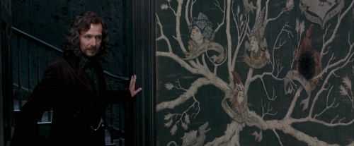 OdF-Potterish_5533.jpg