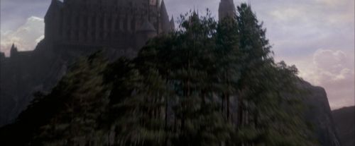 Click to view full size image
==============
OdF-Potterish_5543.jpg OdF-Potterish_5543.jpg