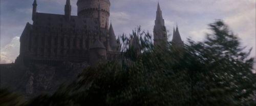 OdF-Potterish_5544.jpg