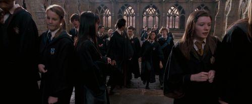 Click to view full size image
==============
OdF-Potterish_5575.jpg OdF-Potterish_5575.jpg