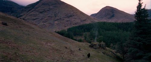 Click to view full size image
==============
OdF-Potterish_5588.jpg OdF-Potterish_5588.jpg