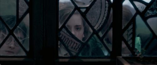 Click to view full size image
==============
OdF-Potterish_5601.jpg OdF-Potterish_5601.jpg