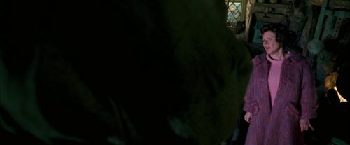 OdF-Potterish_5603.jpg