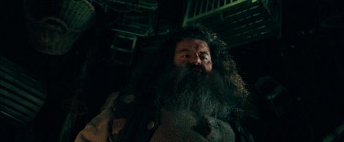 OdF-Potterish_5614.jpg