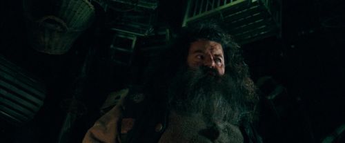 Click to view full size image
==============
OdF-Potterish_5615.jpg OdF-Potterish_5615.jpg