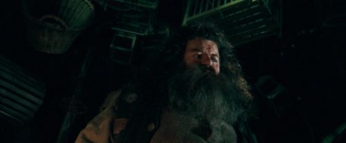Click to view full size image
==============
OdF-Potterish_5616.jpg OdF-Potterish_5616.jpg
