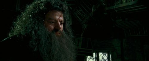 OdF-Potterish_5624.jpg
