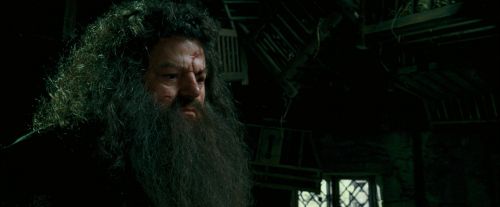 OdF-Potterish_5626.jpg