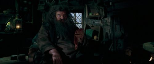Click to view full size image
==============
OdF-Potterish_5646.jpg OdF-Potterish_5646.jpg