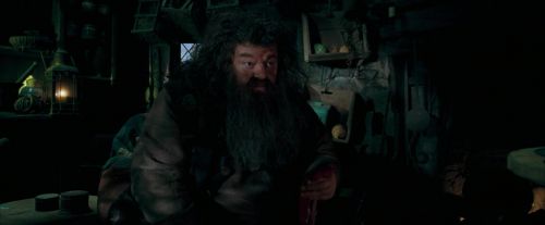 OdF-Potterish_5647.jpg