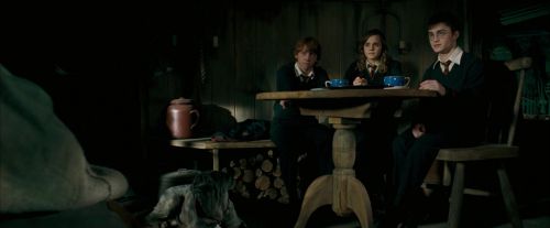 OdF-Potterish_5648.jpg