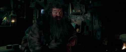 Click to view full size image
==============
OdF-Potterish_5652.jpg OdF-Potterish_5652.jpg