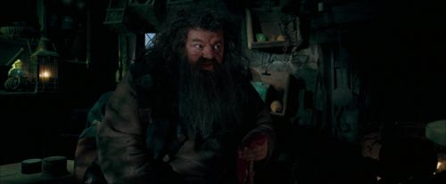 Click to view full size image
==============
OdF-Potterish_5653.jpg OdF-Potterish_5653.jpg