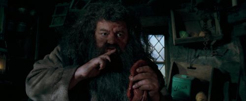 OdF-Potterish_5656.jpg