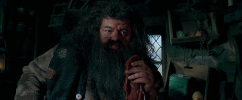 Click to view full size image
==============
OdF-Potterish_5657.jpg OdF-Potterish_5657.jpg
