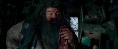 OdF-Potterish_5661.jpg