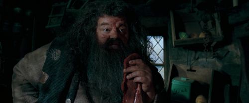 Click to view full size image
==============
OdF-Potterish_5662.jpg OdF-Potterish_5662.jpg